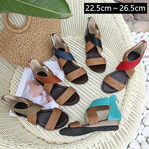 T_ fB[X 2023t yz T_ fB[X Ȃ ₷   EFbW\[ OfBG[^[T_@T_ s C CC [q[ ub