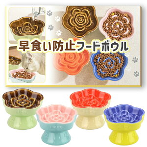 yP5{+ő2,000~OFFN[|zzzybg Hh~  t[h{E Hh~ ybg{E   t[h{[ H ^ L  Hh~t[h{E ybgpi 􂢉\ a