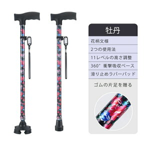   l_     y Lk s⏕ fB[X p hV̓ a Mtg XebL   l