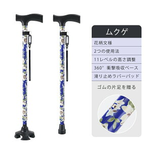   l_     y Lk s⏕ fB[X p hV̓ a Mtg XebL   l