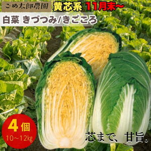 y\E11蔭z cn c Â  4 10kg`12kg Yn a̎RY H T_ 畨  x x Â Ƃ낯 c܂ŊÂ Â  ~