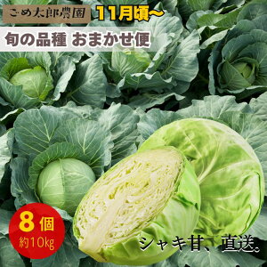 y\E11蔭zLxc 8 10kg Yn _ƒ a̎RY i킨C {   t̂ Έ SE tLxc ~Lxc  Â H ؂ VN 炩 { ~