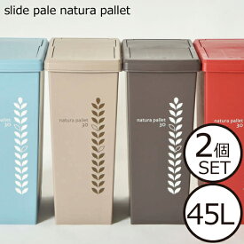 楽天市場 ゴミ箱 45l2個セットの通販