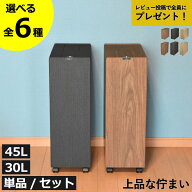 【特典2個付き】【全6種】 ゴミ箱 45リットル ふた付き 45l 30l 30リットル おしゃれ 分別 リビング 大容…