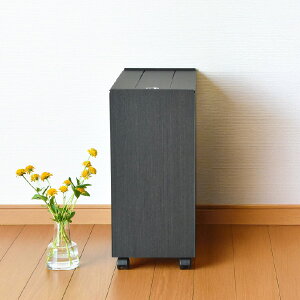 yT2tzyS6z S~ 45bg ӂt 45l 30l 30bg   rO e _Xg{bNX LX^[t Lb` 傫 X ܂Ȃ ybg{g 