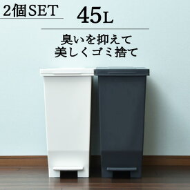 ゴミ箱 45L袋可 おしゃれ 45リットル袋可 密閉 キッチン 生ごみ 45リットル ペダル ペット トイレ 赤ちゃん オムツ ふた付き 幅 30cm 袋 見えない ダストボックス 日本 シンプル インテリア雑貨 北欧 ホワイト ブラック 白 黒(エバンMP 密閉ペダルペール 45L 2個セット)