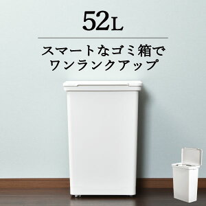 ゴミ箱 おしゃれ 70L 外用 分別ダストボックス 大型 45L袋可 45リットル袋可 ゴミ袋が見えない スマート 魅せる ゴミ捨て ペール ゴミ袋 掛ける 分別 アウトドア モノトーン 北欧 インテリア雑