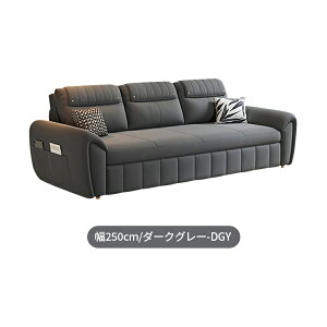 \t@xbh \t@ \t@[ RpNg Lk [   _炩 sofa 2P l| Ol [  220cm 250cm Snǂ qΉ 2way e xe ؐt[ 
