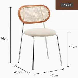 _CjO`FA ^`FA hbT[֎q Lb`֎q ^҂ CX `FA 47cm 76cm ^ ؍ C ACA IV rO`FA l炵 V JtF i