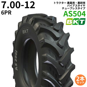 BKT gN^[ _ƗpE_kp oCAX^Ci`[uX^Cvj@AS504@7.00-12@PR6@2{Zbg