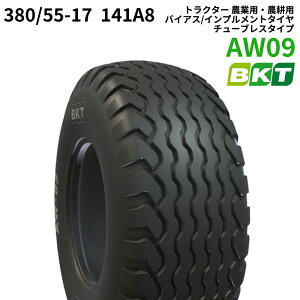 BKT gN^[ _ƗpE_kp oCAX/Cvg^Ci`[uX^Cvj@AW09@380/55-17@141A8@1{