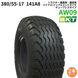 BKT gN^[ _ƗpE_kp oCAX/Cvg^Ci`[uX^Cvj@AW09@380/55-17@141A8@2{Zbg