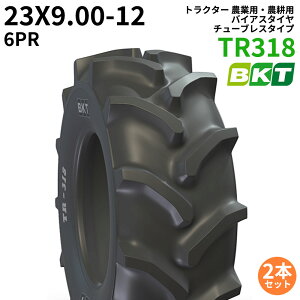 BKT gN^[ _ƗpE_kp oCAX^Ci`[u^Cvj@TR318@23X9.00-12@PR6@2{Zbg