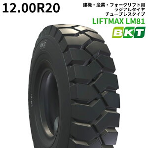 y݌ɌEvmFzBKTtH[Ntgp^C@LIFTMAX LM81(WA^C)@12.00R20@`[uX@1{