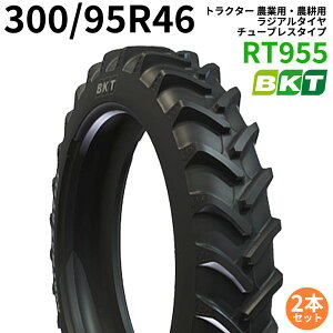 BKT gN^[ _ƗpE_kp WA^Ci`[uX^Cvj@RT955@300/95R46@2{Zbg