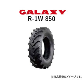 ギャラクシー(GALAXY)　トラクタータイヤ　EARTH-PRO R-1W 850　420/85R34　16.9R34　TL　(ラジアルタイヤ)　1本