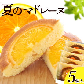 夏季限定 夏の ご褒美 スイーツ マドレーヌお中元 夏ギフト 焼き菓子 ご挨拶 贈り物 ギフト 贈答 帰省 手土産 土産 内祝い みかん オレンジ 洋菓子 パンケーキ ケーキ 焼菓子 洋菓子 セット 詰め合わせ