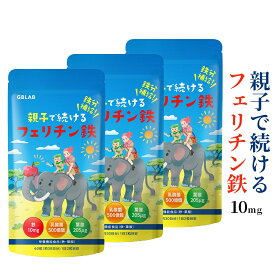フェリチン鉄 10mg 乳酸菌 500億個 葉酸 205μg ビタミン 亜鉛 貯蔵鉄 栄養機能食品 親子で続ける フェリチン鉄 サプリ 子供も飲める 30日分 60粒 3袋セット