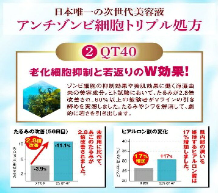 楽天市場】＼お買い物マラソンWEEK！P5倍＆クーポン／ヴィランカ ザ 