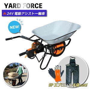 y^ZbgSPz24V R[hX dAVXg֎   엿 S~ dʕ iLXCH602-JPj