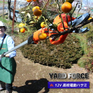 _1x̂ȃXyVWEEKI^YARD FORCE12VR[hX}dnT~iLX AFP1-JPj