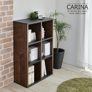 I X VbNȐF 60cm G{I q 낢ȊG{ DVD XbL[ I  I[vI I[vbN VFt { R~bN ؐ 2 X ^ ]|h~ DIY V