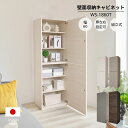 壁面収納 キャビネット リビング収納 ドアキャビネット 可動棚付 本棚 棚板 収納ボックス 縦置き 扉付 日本製 ドア 隙…