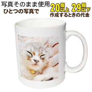 y20`29zyʐ^̂݃R[XzIWi}OJbv@LOi@a@̓@̓@hV̓@j@LO@v[g Sʎʐ^vg IWi }OJbv  ƋLO