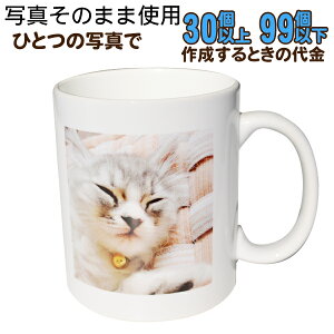 y30`99zyʐ^̂݃R[XzIWi}OJbv@LOi@a@̓@̓@hV̓@j@LO@v[g Sʎʐ^vg IWi }OJbv  ƋLO