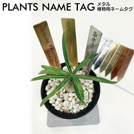 プランツタグ 金属製 3本セット　真鍮 ステンレス 銅 9.8cm×1.3cm×厚み1mm ヘアライン仕上げ PLANTS TAG 園芸ラベル 植物タグ 短冊ラベル ガーデニングラベル ブラス メタル 再利用可能 日本製 厚い メタルタグ かっこいい おしゃれ　オリジナル　オーダー