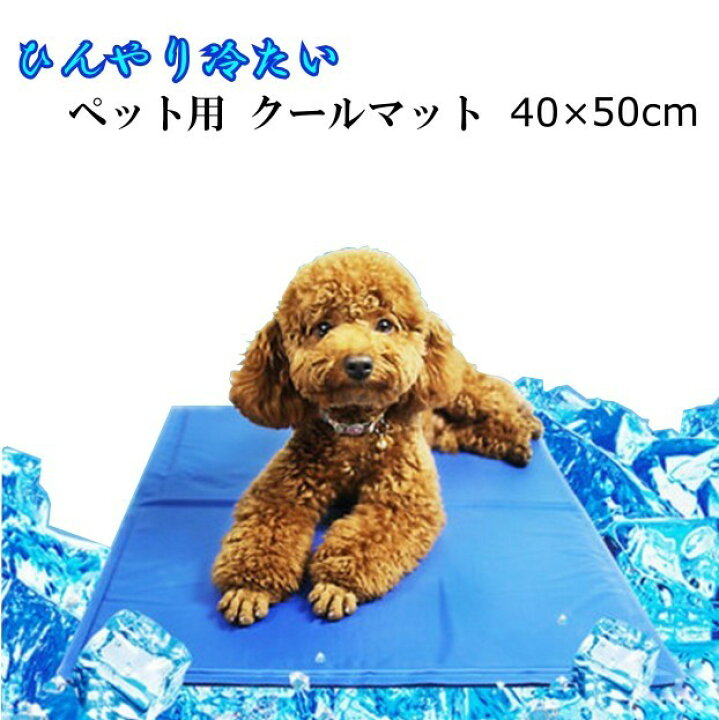 楽天市場 ペット用 ひんやりシート 犬猫用 Mサイズ 40 50cm 多用途 ひえひえ爽快 冷却マット 熱中症対策 パッドクール 涼しい ペットベッド夏用 猫ひんやり エコクーラー クールジェルマット 犬用 犬猫 夏 熱中症 暑さ対策 ポイント消化 ｇood ｉｔｅｍ