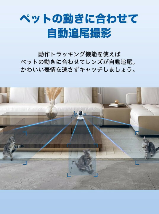 楽天市場】【ランキング1位獲得】【2K 400万画素/QHD】TP-Link Tapo 