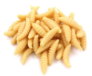 yLO1ʊlIzyzՂ 50C Zbg m[VJ[ōU߂ Ԃǂ kނ Ȃǂ