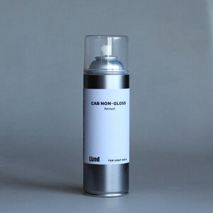 Lized CAB�g�b�v�R�[�g �m���O���X�G�A�]�[���yLP�z
