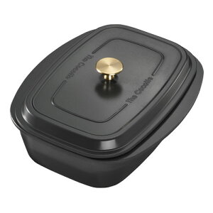 iC RBO-TCV-1 UERRbgPi