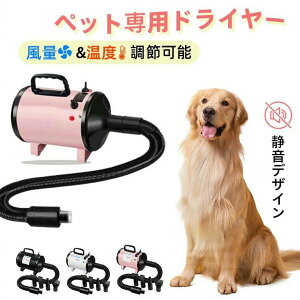 yԌ10%OFFIzp hC[ ybg hC[ L  u[  [ phC[ ybghC[~JU  Lk\z[X Ɩp 啗 u[ }