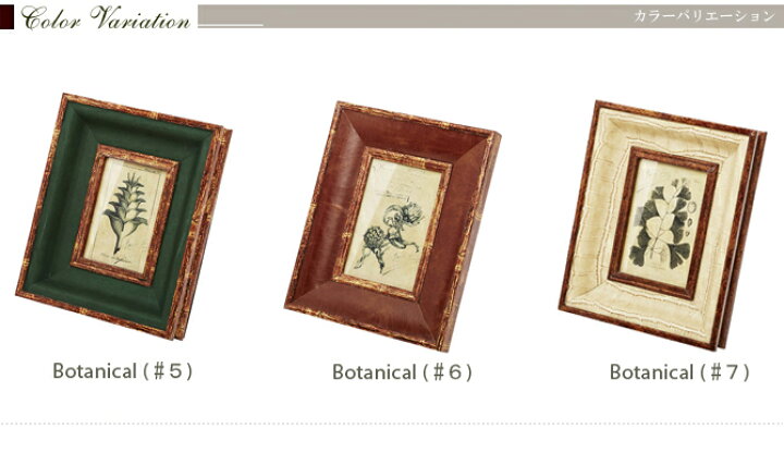 楽天市場 おしゃれなフォトフレーム Botanical Series ボタニカルシリーズ 写真立て イラスト 写真入れ 写真収納 かっこいい お洒落 アートフレーム 写真整理 レトロ アンティーク スタイリッシュ ギフト オールド エイジング 新築祝い ラッピング可 Life Plus 楽天市場 おしゃれなフォトフレーム Botanical Series ボタニカルシリーズ 写真立て イラスト 写真入れ 写真収納 かっこいい お洒落 アートフレーム 写真整理 レトロ アンティーク スタイリッシュ ギフト オールド エイジング 新築祝い ラッピング可 Life Plus