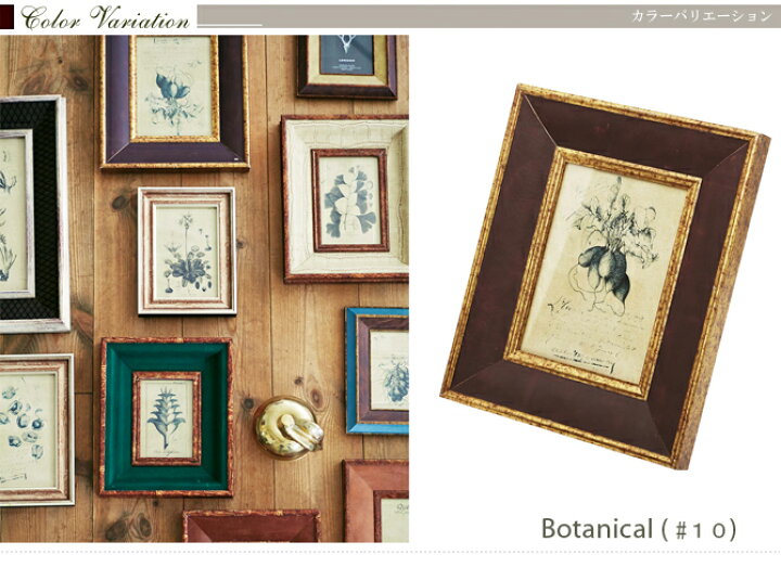 楽天市場 おしゃれなフォトフレーム Botanical Series ボタニカルシリーズ 写真立て イラスト 写真入れ 写真収納 かっこいい お洒落 アートフレーム 写真整理 レトロ アンティーク スタイリッシュ ギフト オールド エイジング 新築祝い ラッピング可 Life Plus 楽天市場 おしゃれなフォトフレーム Botanical Series ボタニカルシリーズ 写真立て イラスト 写真入れ 写真収納 かっこいい お洒落 アートフレーム 写真整理 レトロ アンティーク スタイリッシュ ギフト オールド エイジング 新築祝い ラッピング可 Life Plus