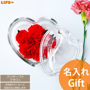 ̓ JCC 蕨  Mtg vU[uht[ J[l[V 킢 ̓Mtg   v[g  bZ[W  v[g  ꂳ ΂