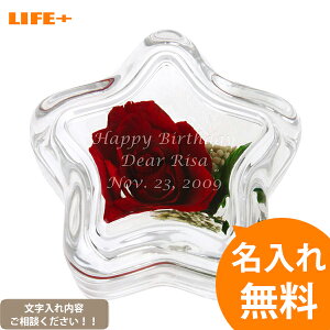 [IWiMtgEMtg] vU[uht[ X^[bh[Y [җj/v[g/av[g/j/LO/o/KN/t/EFfBO/LOi/j