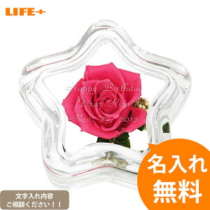 [IWiMtgEMtg] vU[uht[ X^[sN[Y [JCC/av[g/j/蕨/LO//o/KN/t/O/EFfBO/j