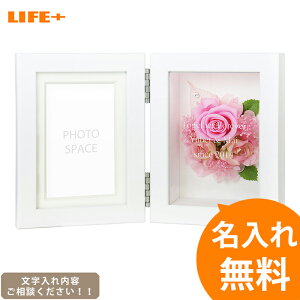  Mtg 킢 tHgt[ j ʐ^ av[g  LO      e 蕨 LOi j  җj e 