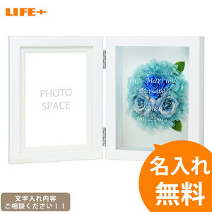  Mtg tHgt[ IV j 킢 JXj ʐ^ Nj Nu XibN e I 蕨 j FB LOi  av[g   I[_[