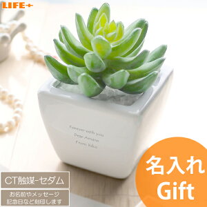   Vzj ϗtA IV JXj X Nj j av[g tFCN O[ }}FB e JtF Fl œK 蕨 O D] lC 