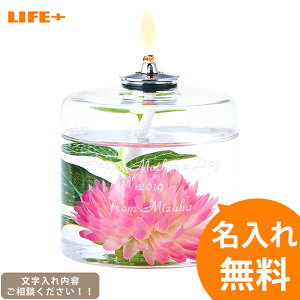 [IWiMtg Mtg]-ICv n[oE A[gt[sN-[j IV LO o av[g ޏ O 蕨 LOi   