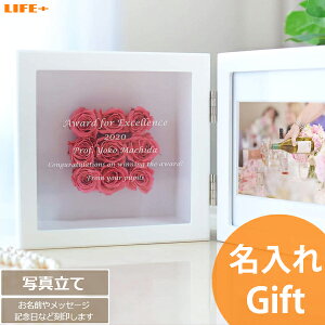  킢 蕨 Mtg ʐ^ җj e j tHgt[ O  vU[uht[  av[g LO ⍥   N