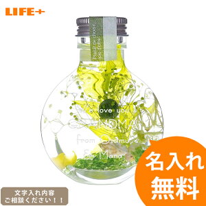 [IWiMtg Mtg]-n[oE S O[-[j IV LO o av[g ޏ O 蕨  LOi   킢 X 