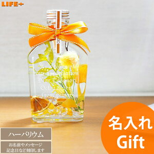  Mtg IV Nj e JXj JtF XibN lCT LO o av[g O 蕨 LOi  j  킢 NLO