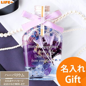  Mtg IV LO o NLO av[g ޏ O 蕨  LOi   킢 X JXj FB j җj ސEj J