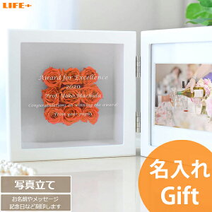  Mtg j j tHgt[ ʐ^ e 蕨 FB IV  e LO LOi O  av[g  o  JXj X 